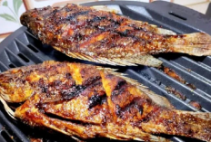 Ini 3 Jenis Ikan yang Cocok Buat Dibakar, Gurih dan Enak!