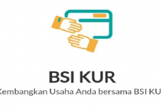 Mau Modal Usaha? KUR BSI 2025 Siap Bantu, Cicilan Mulai Rp 183 Ribuan Aja!