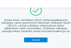 Segera Cair! Cek Jadwal Pencairan Bansos BSU Juni 2025 Rp 150.000 per Bulan
