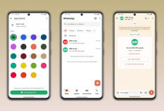 WhatsApp Plus Resmi Meluncur di Indonesia: Fitur Kosmetik Seharga Rp13.900, Layak Langganan?