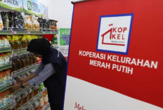 Masih Ada Waktu! Cek Tata Cara Daftar Koperasi Merah Putih 2026, Link Resmi dan Syaratnya Wajib Tahu
