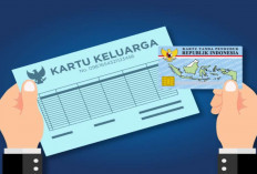 Panduan Lengkap Cara Cek dan Cetak Kartu Keluarga (KK) Online Lewat HP dengan Mudah