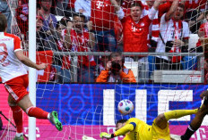 Produktivitas Harry Kane di Bayern Munich, Berapa Gol yang Sudah Ditorehkan?