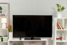 Smart TV Terbaik untuk Nonton Live Streaming, Yuk Tingkatkan Hiburan di Rumah