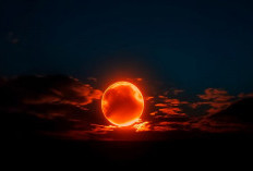 Catat Tanggalnya! Fenomena Langit Sepanjang Februari 2026 Paling Menakjubkan, Ada Parade Planet