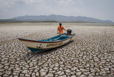 Super El Niño Mengintai, Indonesia Bisa Kering Kerontang sampai 2027