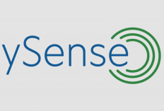 Download Aplikasi ySense Bagi-bagi Saldo DANA Gratis: Cuma Klik Survei, Cuan Bisa Bertambah!