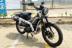 WMoto Porter 125, Motor Mirip Honda CT125 Cuma Rp 23 Jutaan, Alternatif Retro-Petualang yang Ramah Kantong