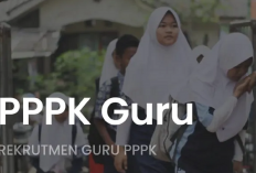 Cek Benefit yang Didapat Guru Setelah Lolos PPPK