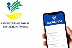Cek Bansos Cuma Pake NIK Aja! Begini Cara Resmi dan Penyebab Tidak Terdaftarnya!
