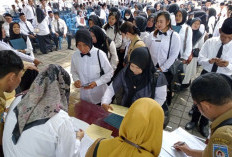 DPR Bongkar Jurus Selamatkan PPPK! Aturan 30 Persen Dilonggarkan, Ribuan Pegawai Terhindar dari Ancaman Disapu Daerah