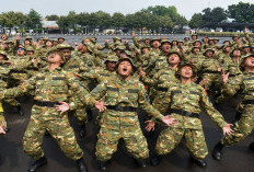 Manajer Koperasi Desa Merah Putih Bukan Pegawai BUMN? Pemerintah Bikin Status Kepegawaian Makin Abu-Abu
