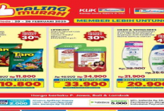 Promo Pay Day Seru! Dapatkan Diskon Deterjen & Sabun Mandi di Alfamart, Indomaret, dan Superindo!