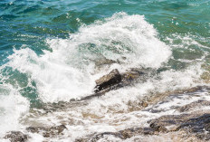 BRIN Peringatkan Ancaman Gempa Megathrust Selatan Jawa, Tsunami Bisa Capai 20 Meter