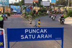 Jadwal Ganjil Genap dan One Way Puncak 14–16 November 2025: Lengkap, Terbaru, dan Panduan Wisatawan