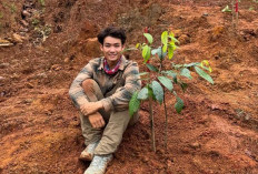 Gen Z Wajib Tahu! Profil Jerhemy Owen yang Tanam 150 Ribu Pohon di Aceh