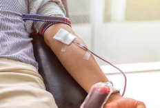 6 Manfaat Donor Darah Bagi Kesehatan Diri, Bukan Cuma Membantu Nyawa Orang Lain Loh