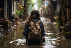 Puluhan RT di DKI Jakarta Terendam Banjir Akibat Hujan Deras, Ada yang Lebih dari 1 Meter!