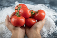 5 Manfaat Buah Tomat untuk Kesehatan, Baik untuk Jantung hingga Cegah Kanker