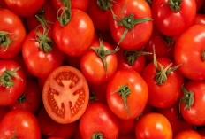 6 Khasiat Terbaik Tomat Jika Dikonsumsi Secara Teratur