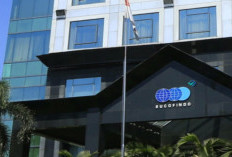 Lowongan Kerja SUCOFINDO April 2026 Dibuka, Cek Posisi dan Cara Daftarnya!