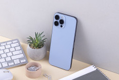 Panduan Lengkap Beli iPhone Bekas agar Tidak Tertipu, Wajib Cek 10 Hal Ini Sebelum Membeli