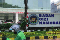 ICW Seret Pimpinan Badan Gizi Nasional ke Ombudsman karena Rangkap Jabatan di BUMN 
